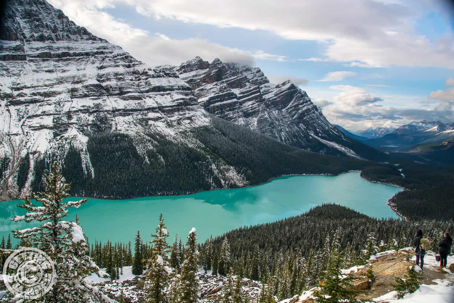 Peyto Lake - Banff National Park - Things to do in Banff for the Non ...