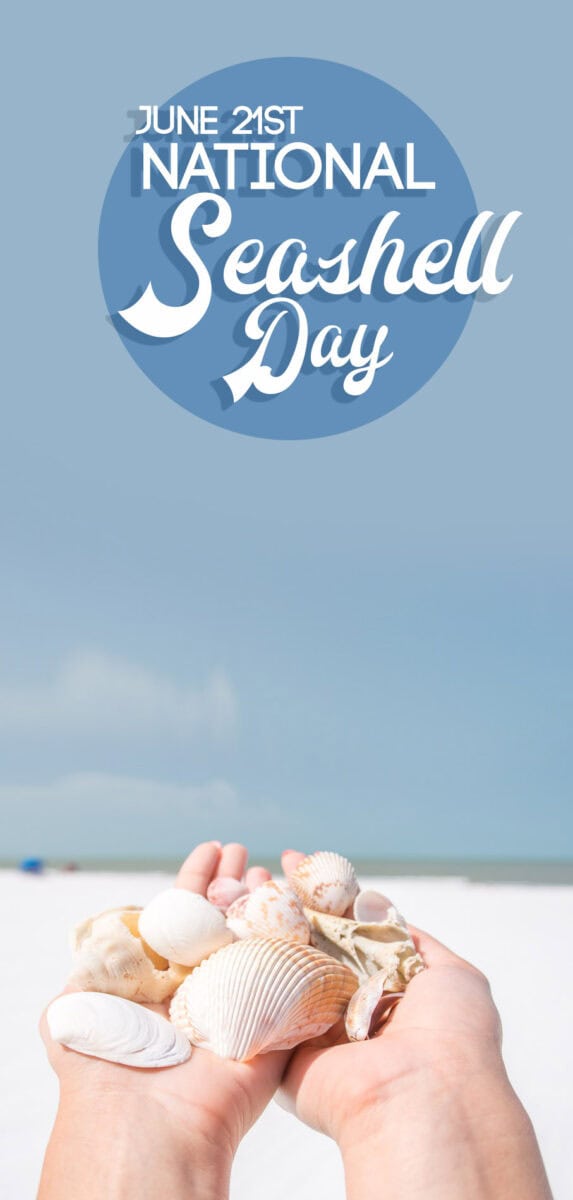 National Seashell Day June 21