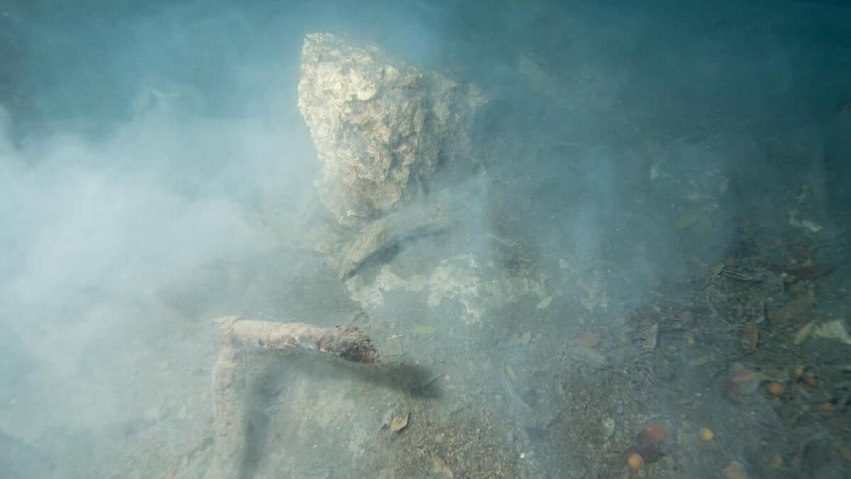 The Pit Cenote 