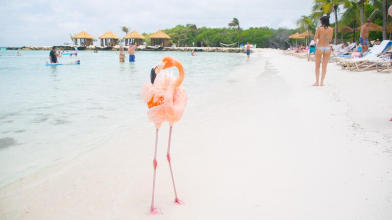 Complete Guide To An Aruba Honeymoon Destinations And Itinerary 6203