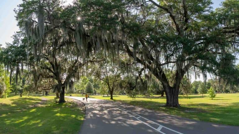 Audubon Park - uptown - Things to see in a New Orleans Weekend trip ...