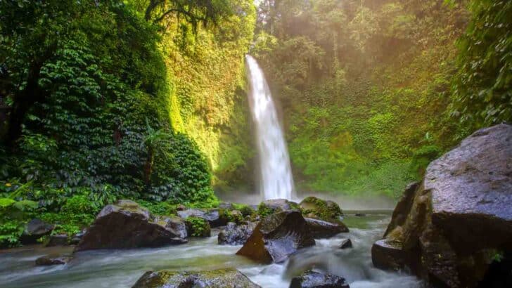 10 Stunning Bali Waterfalls Worth Chasing (+Photos)