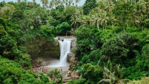 10 Stunning Bali Waterfalls Worth Chasing (+Photos)