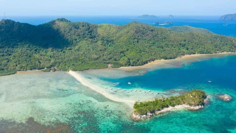 Snake Island El Nido | Everything You Need To Know Before You Go!