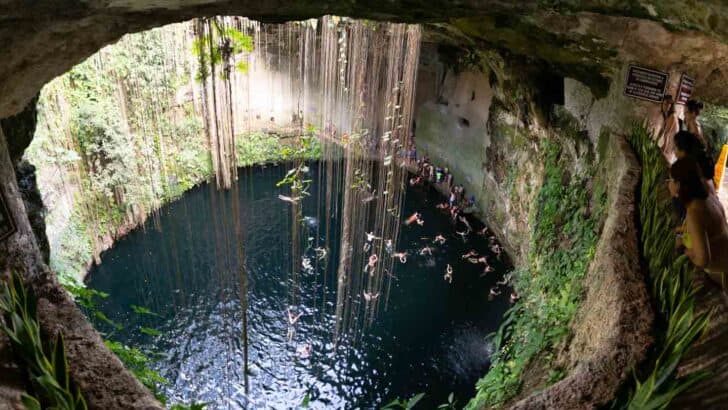 Ultimate List Of The Best Cenotes In Mexico