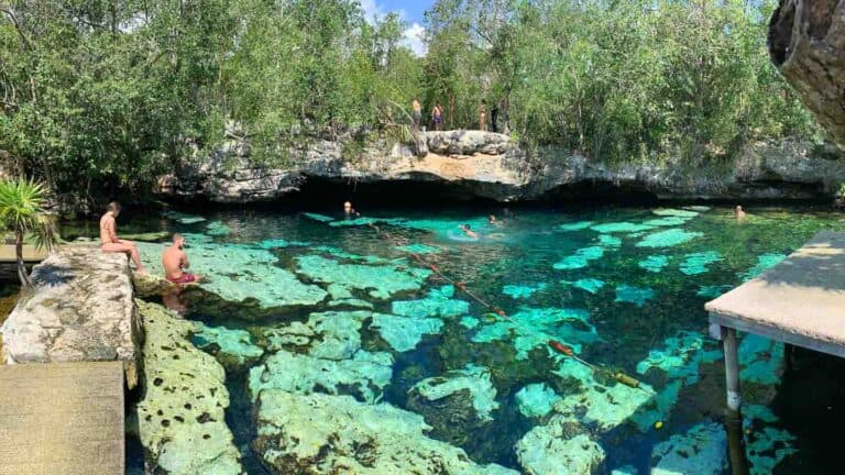 Tulum Cenote Azul - Everything You Need To Know