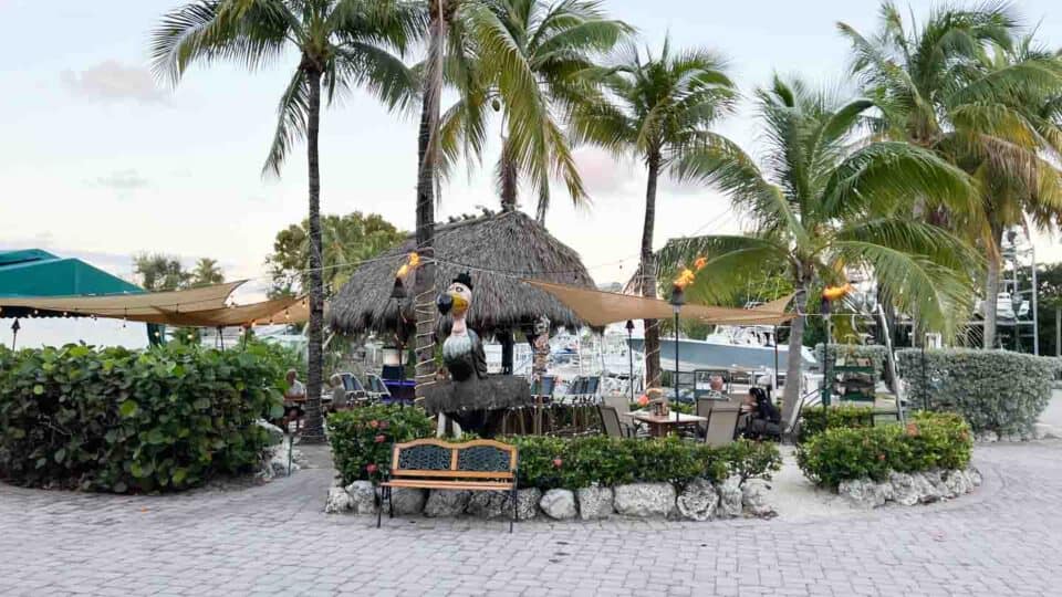 Top 15 Best Restaurants In Key Largo