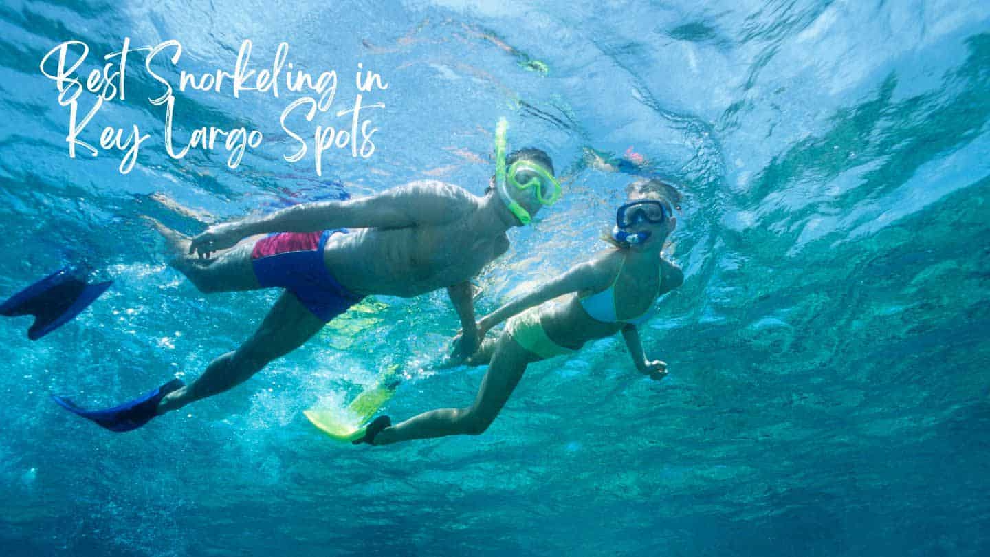 Key Largo Snorkeling: 10 Best Snorkel Spots