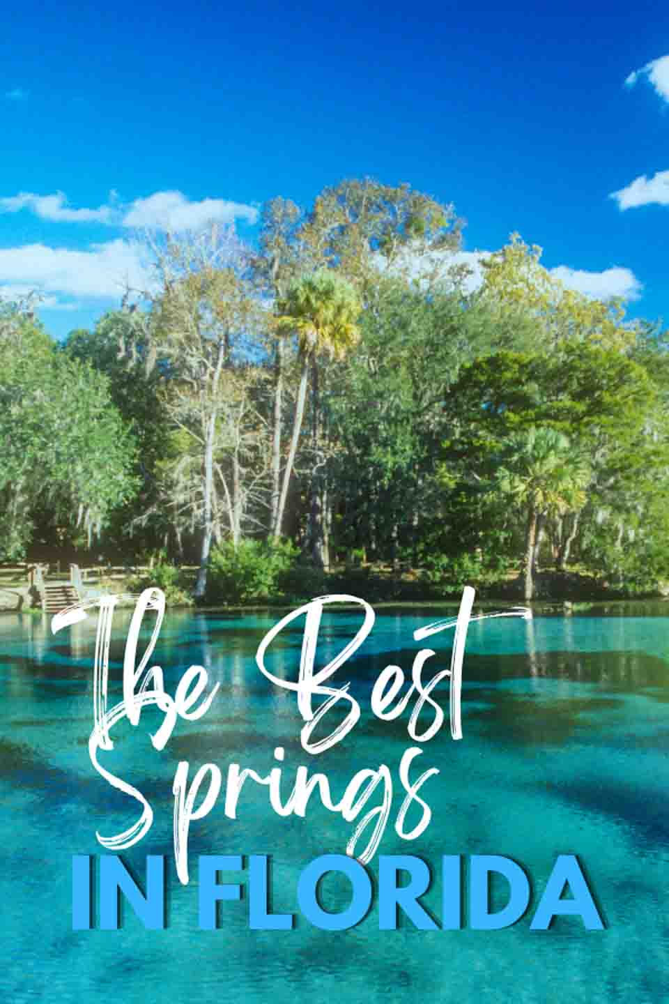 The Best Natural Freshwater Springs In Florida