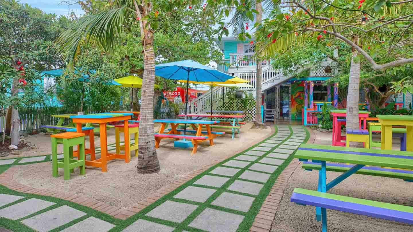 Top 7 Best Bars In Islamorada | 2024 Travel Guide