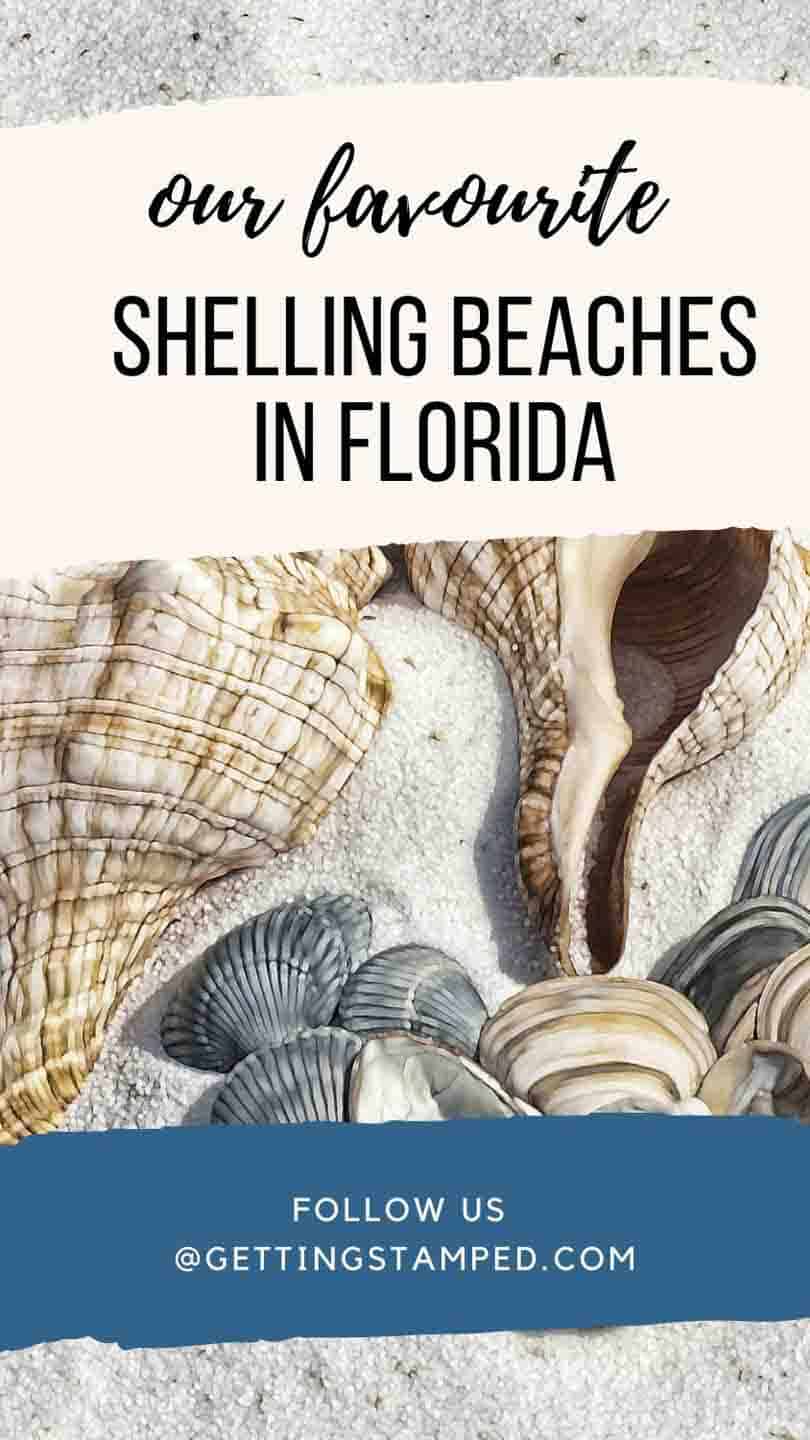 Top 10 Best Shelling Beaches In Florida