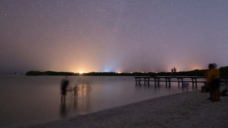 People watching bioluminescence during Holbox tour at night