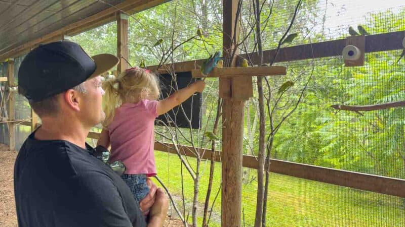 Father and daughter feeding birds at Safari Niagara 