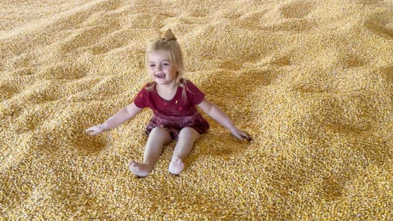 Ferguson Orchard Corn Pit