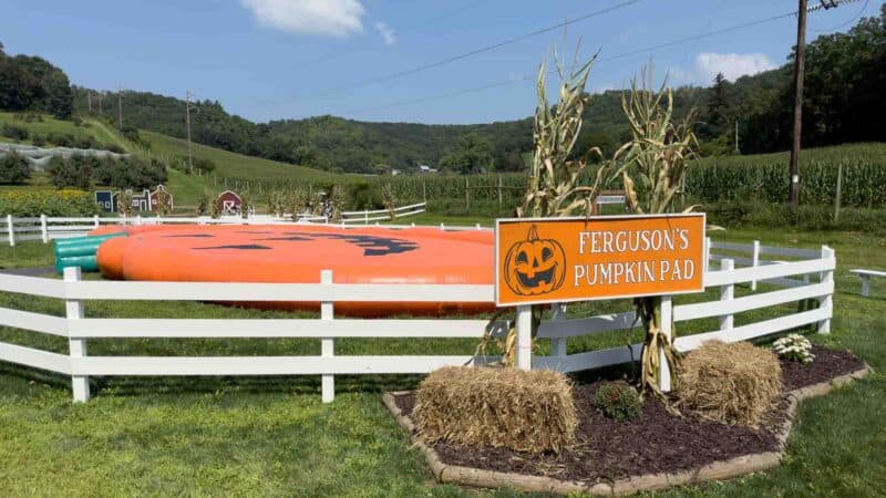 Almofada de salto de abóbora Ferguson Orchard